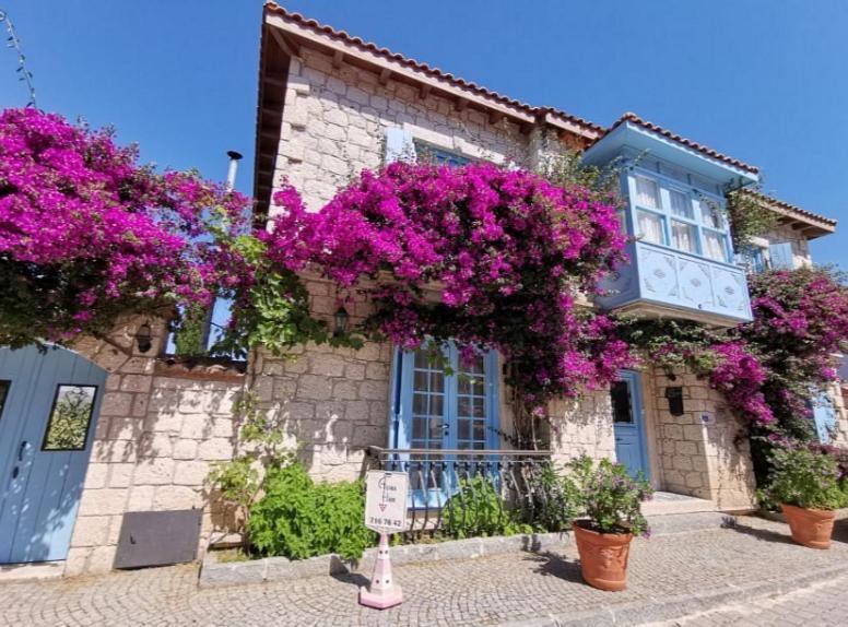 Asma Han Alacati Çeşme エクステリア 写真